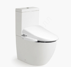 Унитаз напольный BalBagno Orsa + биде Panasonic DL-EE30